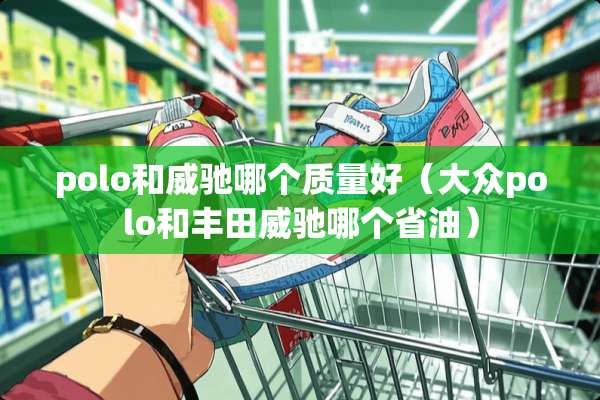 polo和威驰哪个质量好（大众polo和丰田威驰哪个省油）