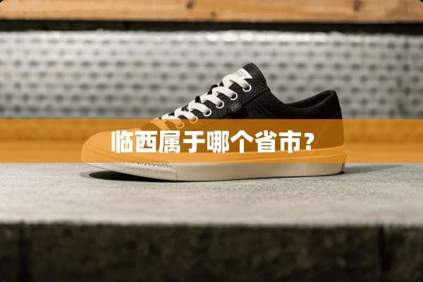 临西属于哪个省市？