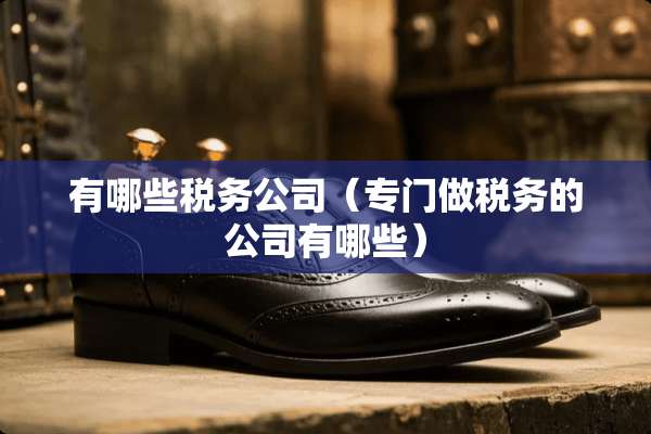 有哪些税务公司（专门做税务的公司有哪些）