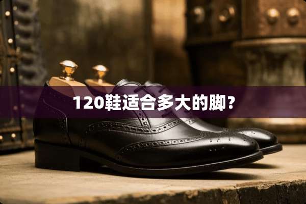 120鞋适合多大的脚？