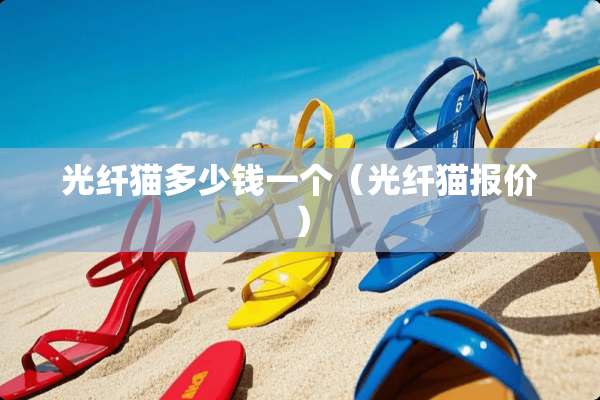 光纤猫多少钱一个（光纤猫报价）