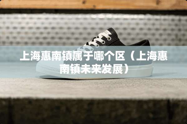 上海惠南镇属于哪个区（上海惠南镇未来发展）