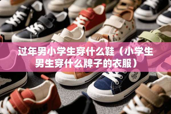 过年男小学生穿什么鞋（小学生男生穿什么牌子的衣服）