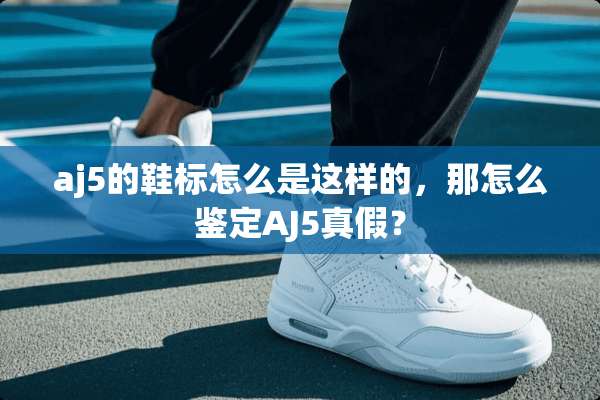 aj5的鞋标怎么是这样的，那怎么鉴定AJ5真假？