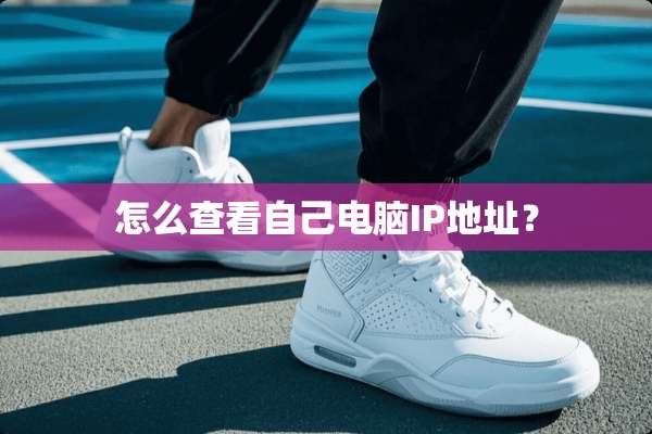 怎么查看自己电脑IP地址？