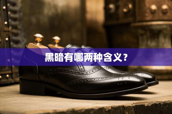 黑暗有哪两种含义？