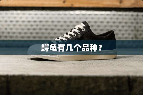 鳄龟有几个品种？