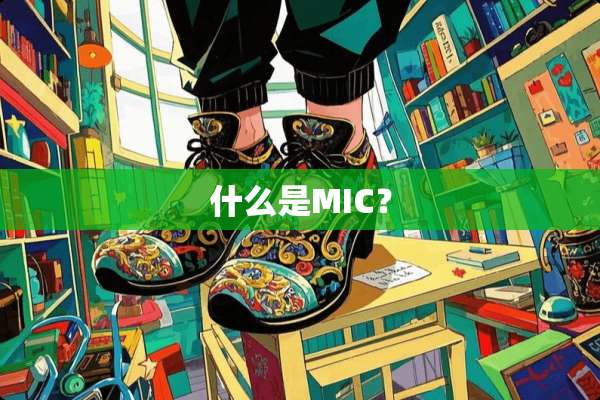 什么是MIC？