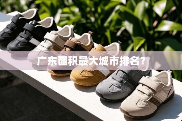 广东面积最大城市排名？