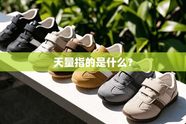 天量指的是什么？