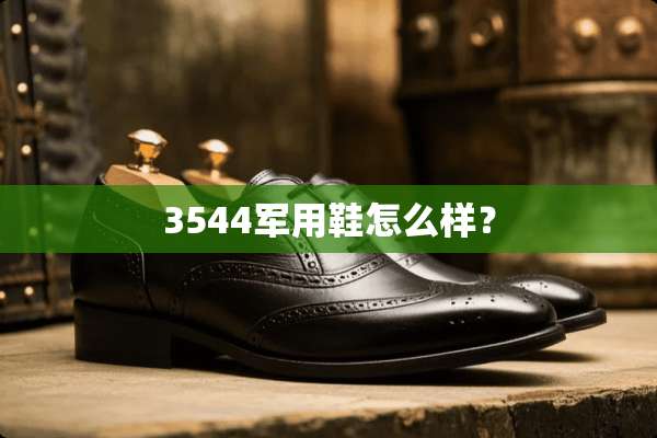 3544**鞋怎么样？