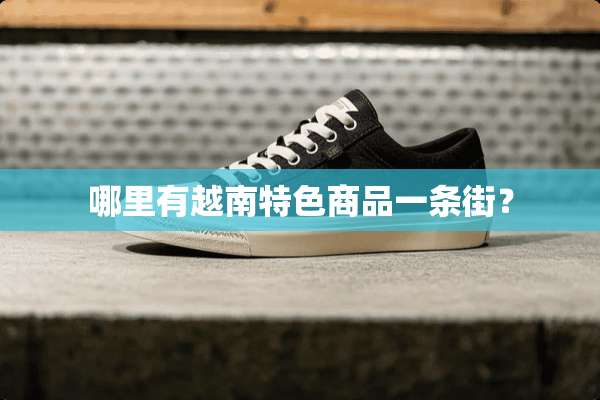 哪里有越南特色商品一条街？