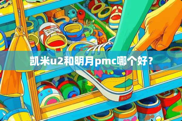 凯米u2和明月pmc哪个好？
