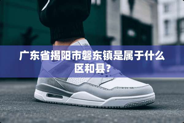 广东省揭阳市磐东镇是属于什么区和县？