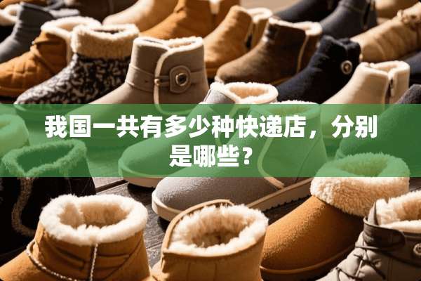 我国一共有多少种快递店，分别是哪些？