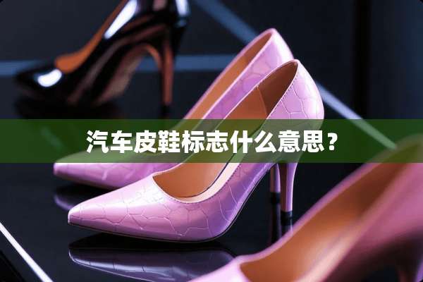 汽车皮鞋标志什么意思？