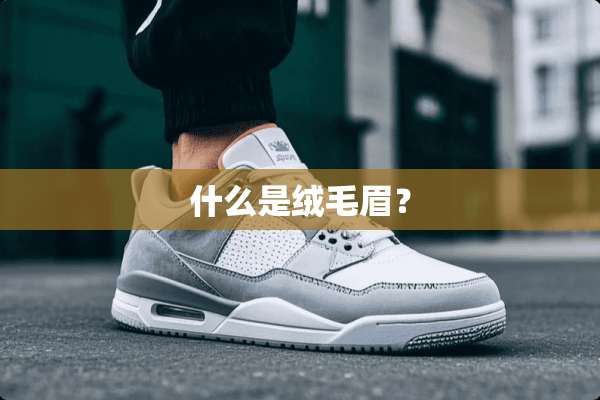 什么是绒毛眉？