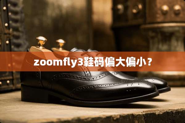zoomfly3鞋码偏大偏小？
