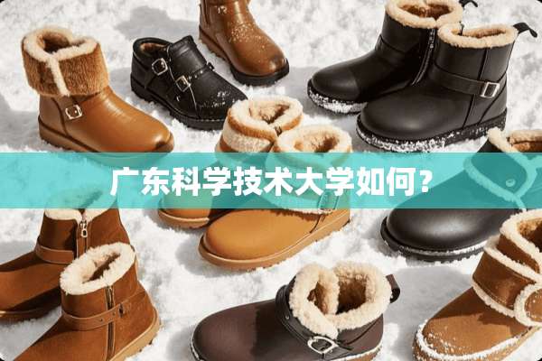 广东科学技术大学如何？