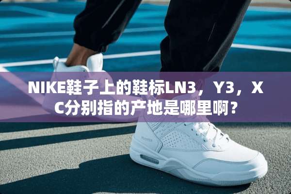 NIKE鞋子上的鞋标LN3，Y3，XC分别指的产地是哪里啊？