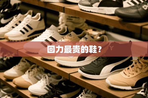回力最贵的鞋？