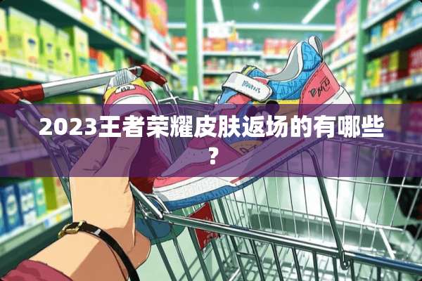 2023王者荣耀皮肤返场的有哪些？