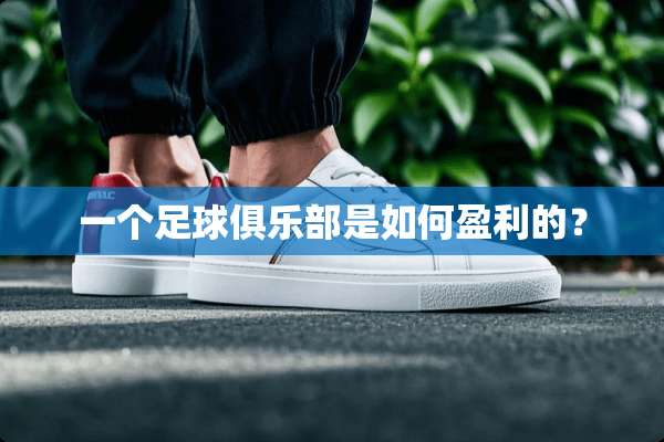 一个**俱乐部是如何盈利的？