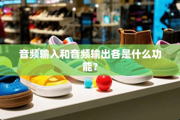 音频输入和音频输出各是什么功能？