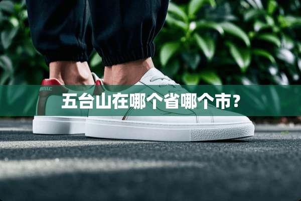 五台山在哪个省哪个市？