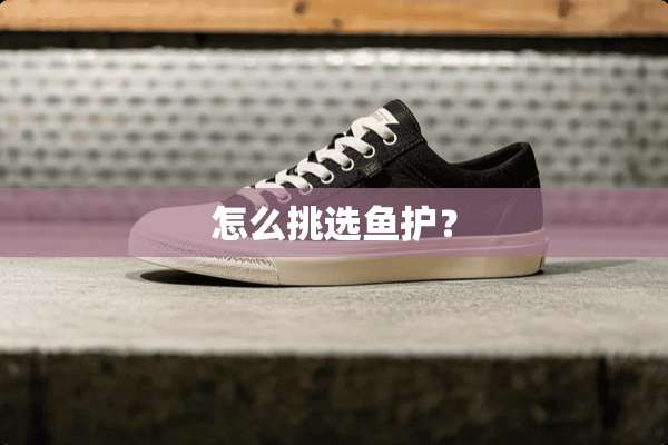 怎么挑选鱼护？