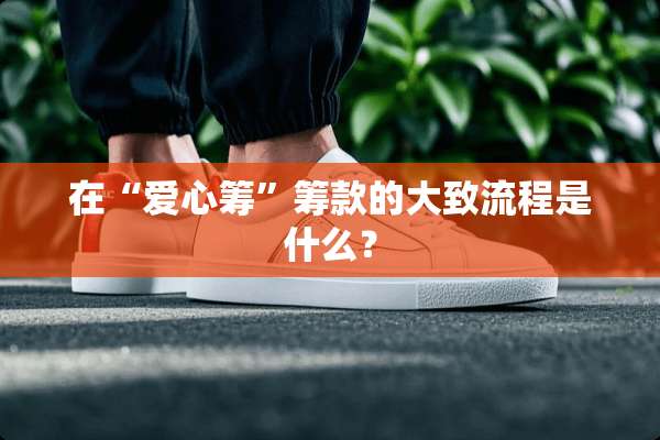 在“爱心筹”筹款的大致流程是什么？