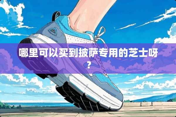 哪里可以买到披萨专用的芝士呀？