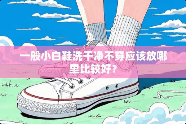 一般小白鞋洗干净**应该放哪里比较好？