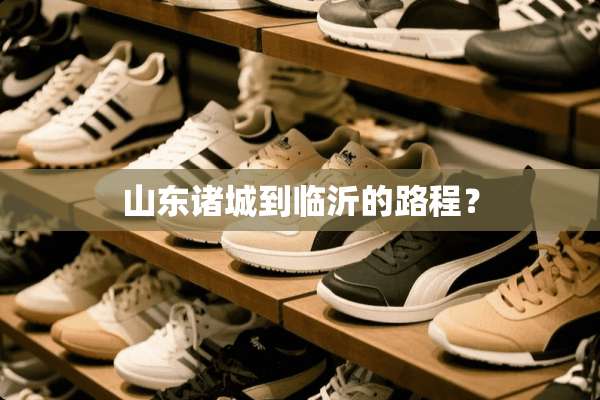 山东诸城到临沂的路程？