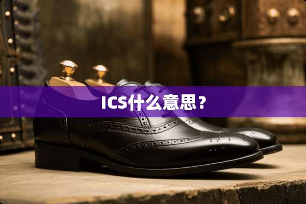 ICS什么意思？