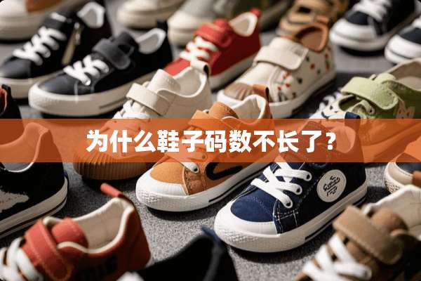 为什么鞋子码数不长了？
