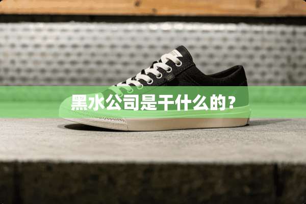 黑水公司是干什么的？
