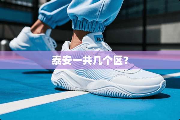 **一共几个区？