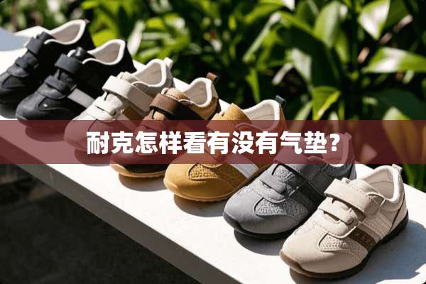 耐克怎样看有没有气垫？