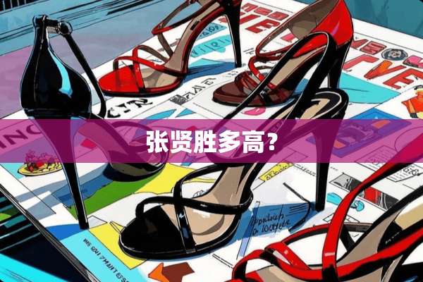 张贤胜多高？