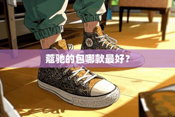 蔻驰的包哪款最好？