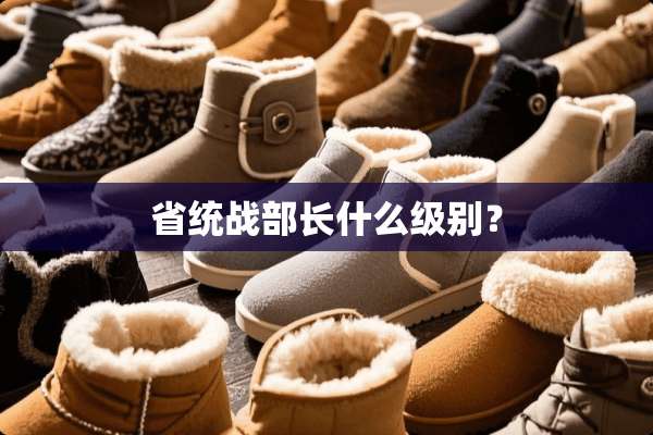 省**部长什么级别？