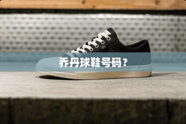 乔丹球鞋号码？