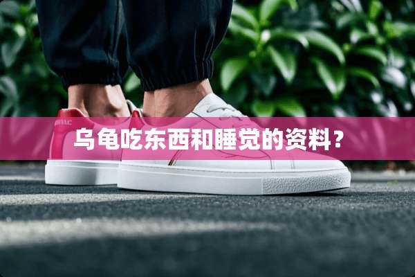 乌龟吃东西和睡觉的资料？