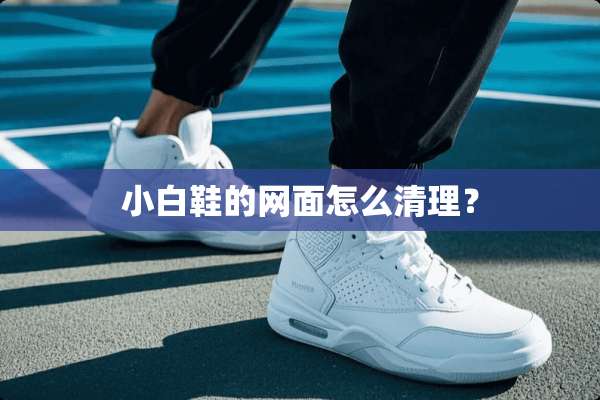 小白鞋的网面怎么清理？