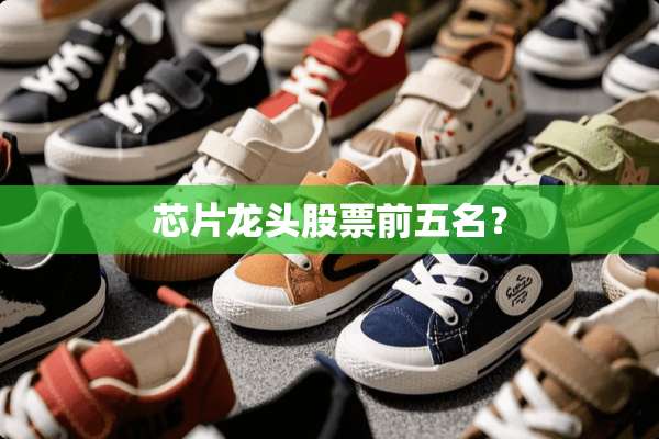 芯片龙头股票前五名？