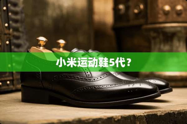 小米运动鞋5代？