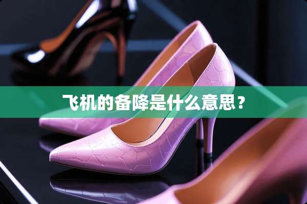 飞机的备降是什么意思？