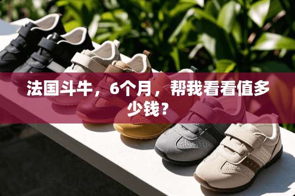 法国斗牛，6个月，帮我看看值多少钱？