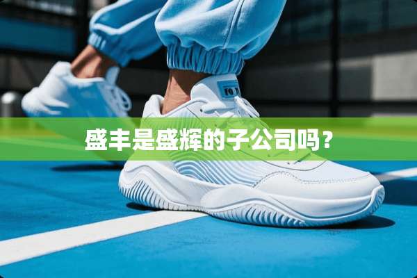 盛丰是盛辉的子公司吗？